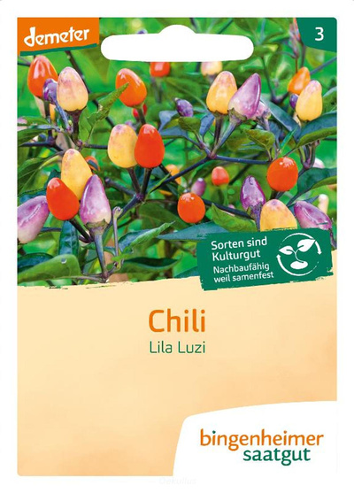 Produktfoto zu Chili "Lila Luzi" (Saatgut)