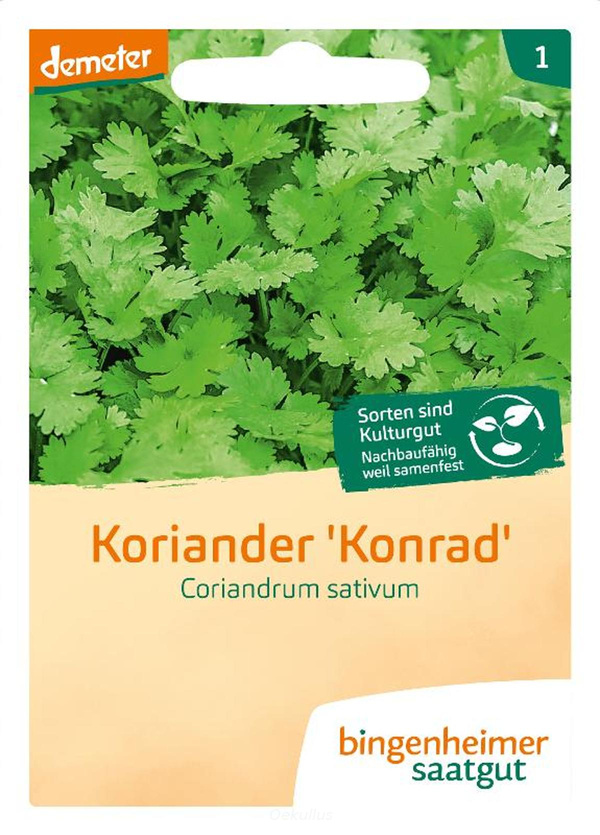 Produktfoto zu Koriander (Saatgut)