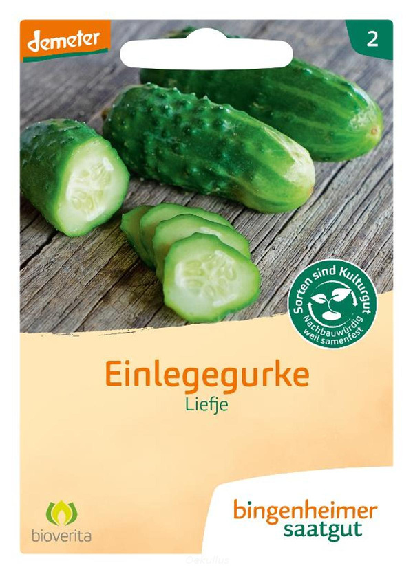 Produktfoto zu Einlegegurke "Liefje" (Saatgut)