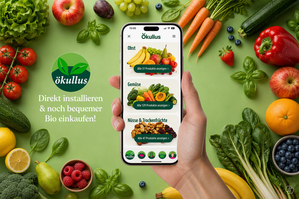Installation Ökullus App 2026