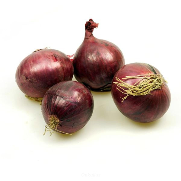 Produktfoto zu Kiste: Zwiebeln rot 10 kg