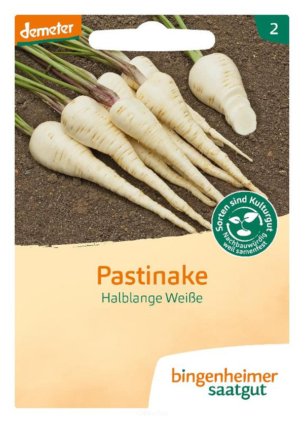 Produktfoto zu Pastinake "Aromata" (Saatgut)