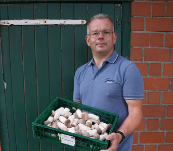 KI generiert: Ein Mann steht vor einer Backsteinmauer und hält eine grüne Kiste voller Pilze. Er trägt ein blaues Poloshirt und eine Brille.