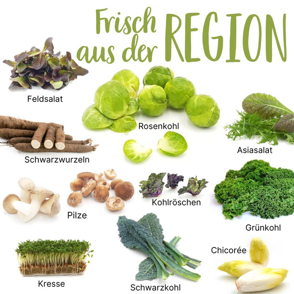 Saisonkalender Januar 2026