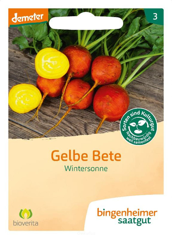 Produktfoto zu Gelbe Bete Wintersonne (Saatgut)