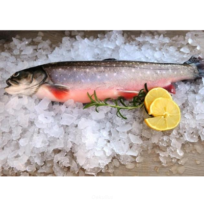 Produktfoto zu Saibling ganz (2 x je 400-700g)