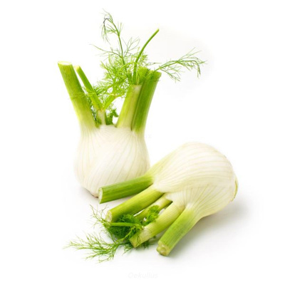 Produktfoto zu Kiste: Fenchel 5 kg