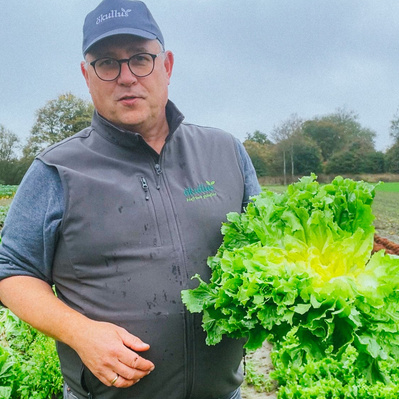 Jörg erklärt Endivie