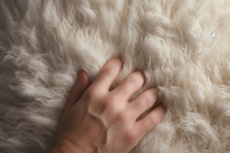 Lammfellprodukte Stefan Naber