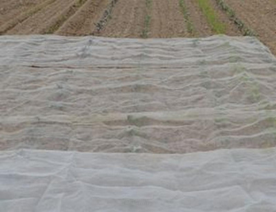 Produktfoto zu Gartennetz (Schutznetz)