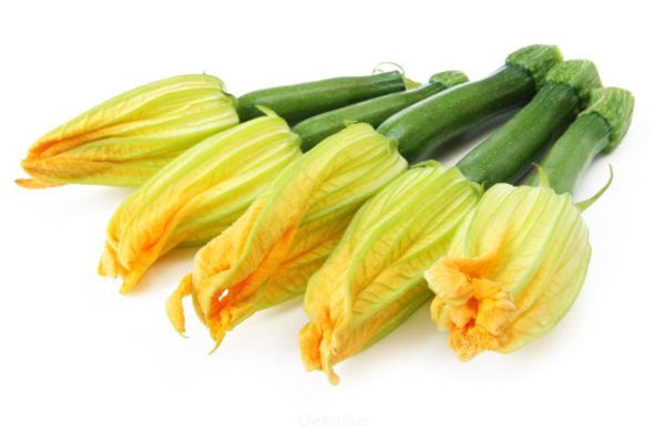 Produktfoto zu Zucchiniblüte