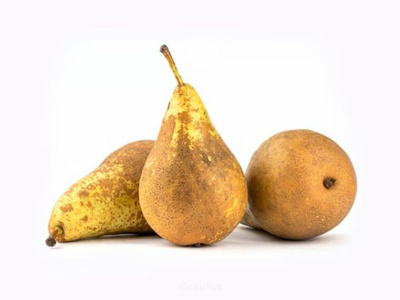 Produktfoto zu Kiste: Birne, Conference 6kg