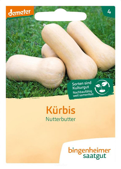 Produktfoto zu Kürbis "Nutterbutter" (Saatgut)