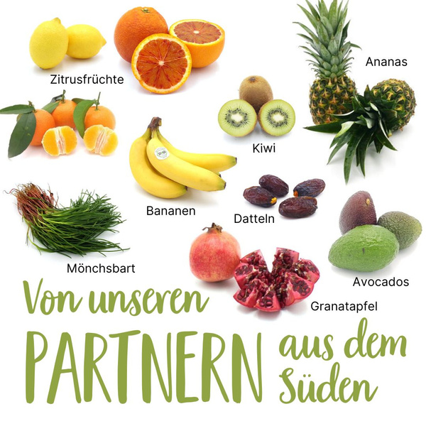 Saisonkalender Januar 2026