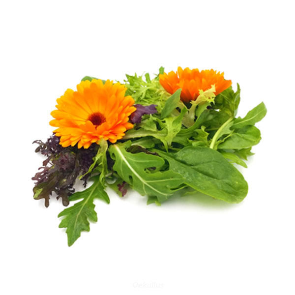 Produktfoto zu Kiste: Pflücksalat 1kg