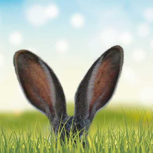 KI generiert: Hasenohren ragen aus hohem Gras, vor verschwommenem, blauem Himmel.