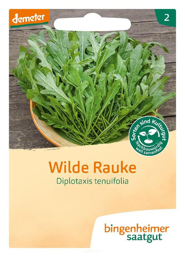 Produktfoto zu Wilde Rauke - Salatrauke (Saatgut)