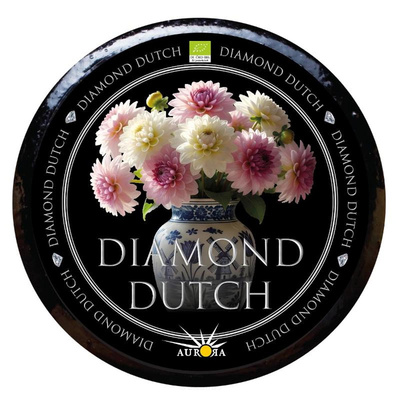 Produktfoto zu Diamond Dutch 1,5 Jahre