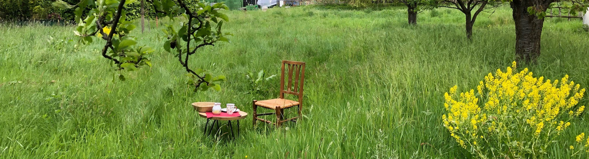 KI generiert: Stuhl und Tisch mit Geschirr auf einer Wiese, umgeben von Bäumen und gelben Blumen.