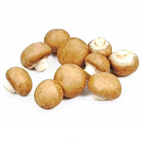 Produktfoto zu Kiste: Steinchampignons 3kg