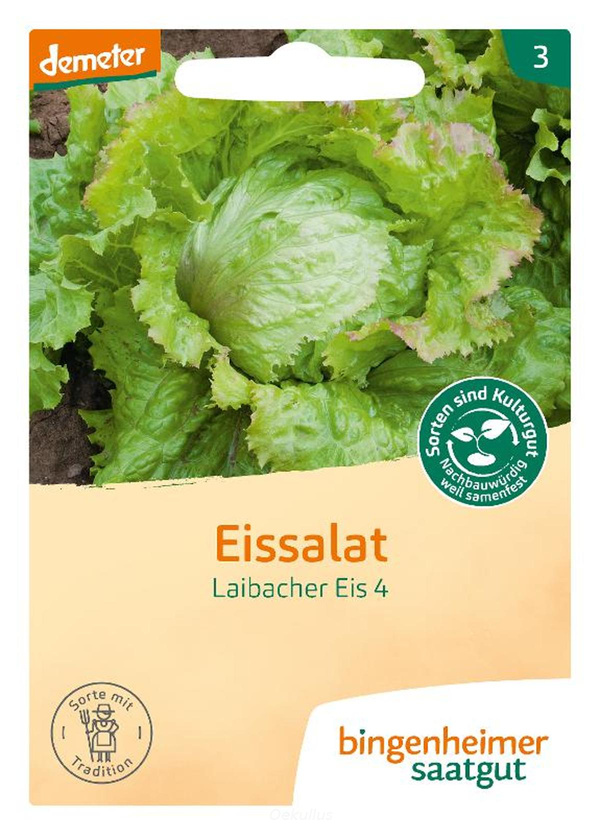 Produktfoto zu Eissalat "Laibacher" (Saatgut)