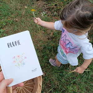 Waldsuchspiel Download Herbst