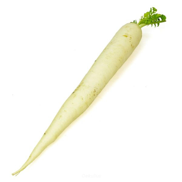 Produktfoto zu Kiste: Rettich weiß 15 St.