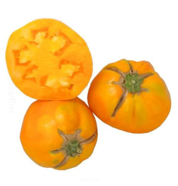 Produktfoto zu Fleischtomaten Mauritzer Sonne