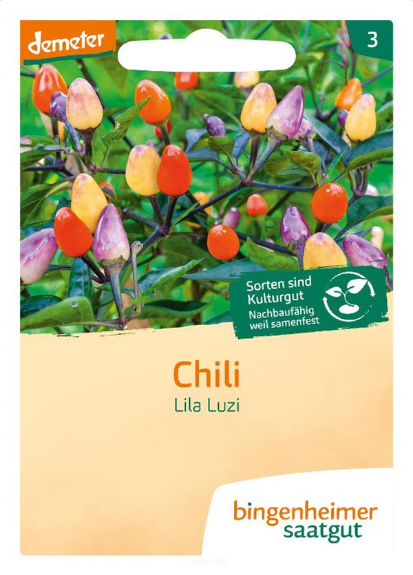 Produktfoto zu Chili "Lila Luzi" (Saatgut)