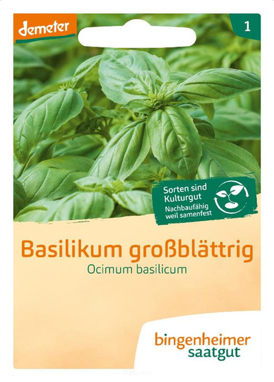 Produktfoto zu Basilikum großblättrig "Genoveser" (Saatgut)