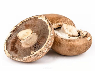 Produktfoto zu Portobello Riesenchampignons