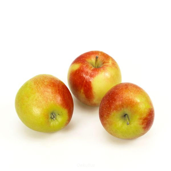 Produktfoto zu Kiste: Apfel, Skyfresh 13 kg