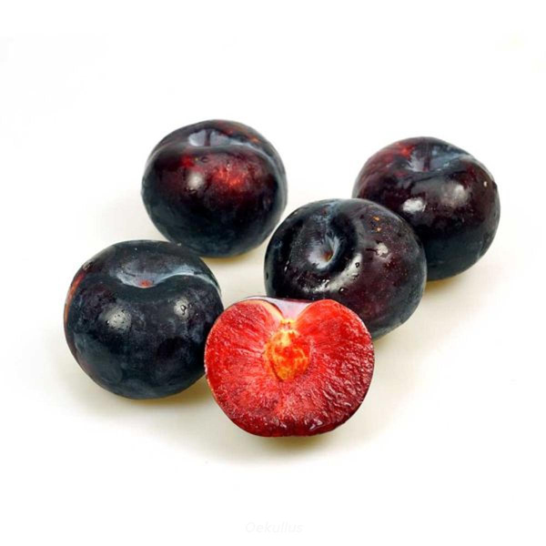 Produktfoto zu Pflaumen rot_schwarz