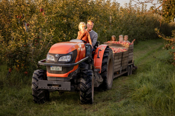 KI generiert: Ein Vater fährt mit einem Kind auf einem Traktor durch einen Obstgarten, während im Anhänger drei Kinder auf einem Berg von Äpfeln sitzen. Der Traktor zieht den Anhänger entlang eines grasbedeckten Pfades zwischen den Bäumen.