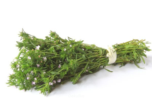 Produktfoto zu Bohnenkraut