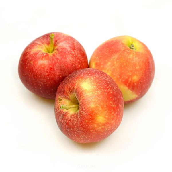 Produktfoto zu Apfel, Gala