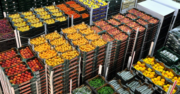 KI generiert: Das Bild zeigt eine große Auswahl an frischem Obst und Gemüse, die in Kisten gestapelt sind. Zu sehen sind unter anderem Paprika, Zitrusfrüchte und Zucchini, die auf einem Markt oder in einem Großhandel angeboten werden.