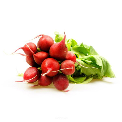 Produktfoto zu Kiste: Radieschen 10 Bund
