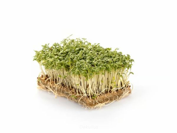 Produktfoto zu Brunnenkresse