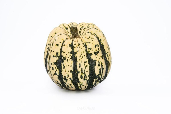 Produktfoto zu Kiste: Kürbis, Dumpling 5kg