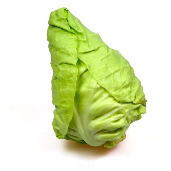 Produktfoto zu Kiste: Spitzkohl 6 kg