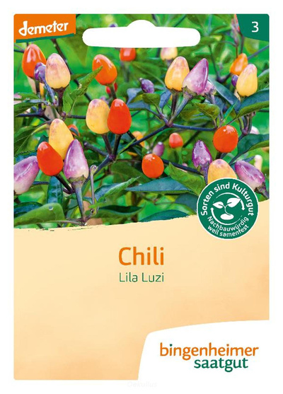 Produktfoto zu Chili "Lila Luzi" (Saatgut)