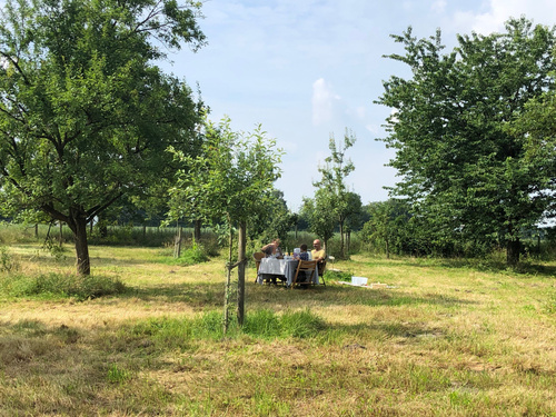 Gedeckter Tisch