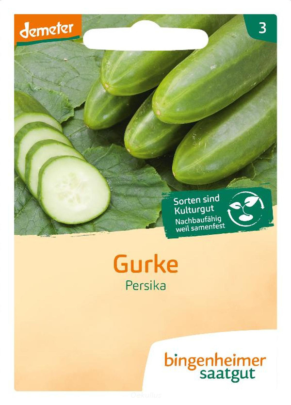 Produktfoto zu Freiland Gurke "Persika" (Saatgut)