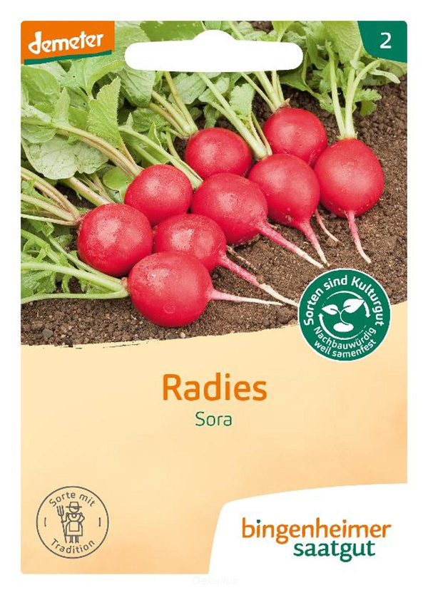 Produktfoto zu Radieschen "Sora" (Saatgut)