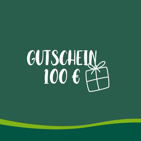 Produktfoto zu Gutschein 100 €