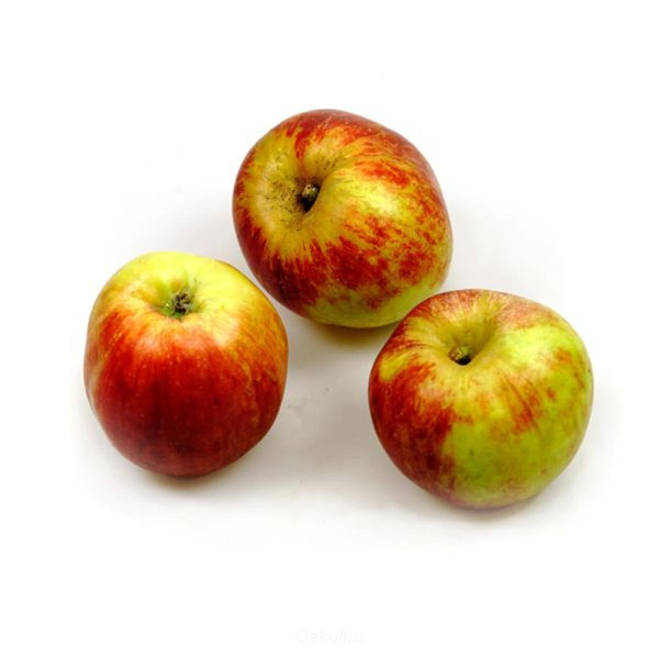 Produktfoto zu Apfel, Gravensteiner rot