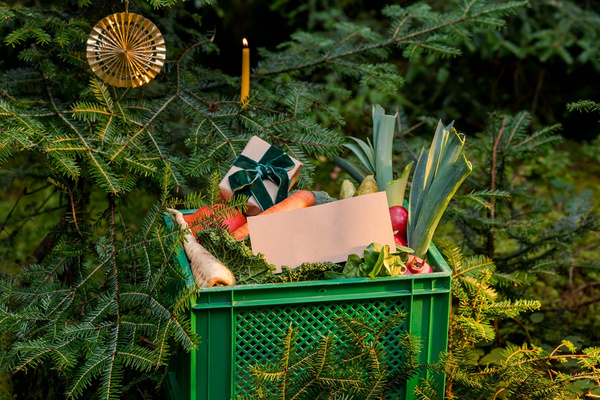 Kiste Auslieferung Fahrer Kundin