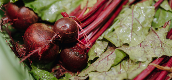 Rote Bete