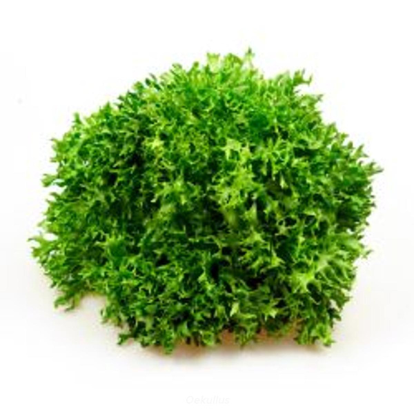 Produktfoto zu Kiste: Crispy-Salat 8 St.